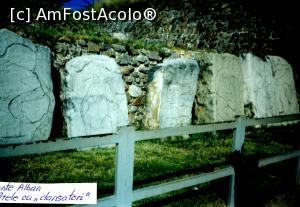 [P10] Stele cu dansatori la Monte Alban » foto by Michi
 - 
<span class="allrVoted glyphicon glyphicon-heart hidden" id="av1164676"></span>
<a class="m-l-10 hidden" id="sv1164676" onclick="voting_Foto_DelVot(,1164676,12926)" role="button">șterge vot <span class="glyphicon glyphicon-remove"></span></a>
<a id="v91164676" class=" c-red"  onclick="voting_Foto_SetVot(1164676)" role="button"><span class="glyphicon glyphicon-heart-empty"></span> <b>LIKE</b> = Votează poza</a> <img class="hidden"  id="f1164676W9" src="/imagini/loader.gif" border="0" /><span class="AjErrMes hidden" id="e1164676ErM"></span>