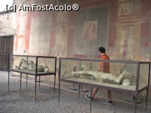 [P17] Pompei » foto by Michi
 - 
<span class="allrVoted glyphicon glyphicon-heart hidden" id="av1164683"></span>
<a class="m-l-10 hidden" id="sv1164683" onclick="voting_Foto_DelVot(,1164683,12926)" role="button">șterge vot <span class="glyphicon glyphicon-remove"></span></a>
<a id="v91164683" class=" c-red"  onclick="voting_Foto_SetVot(1164683)" role="button"><span class="glyphicon glyphicon-heart-empty"></span> <b>LIKE</b> = Votează poza</a> <img class="hidden"  id="f1164683W9" src="/imagini/loader.gif" border="0" /><span class="AjErrMes hidden" id="e1164683ErM"></span>