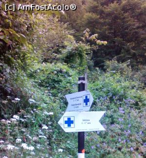 [P26]  -- <small>// FĂRĂ DESCRIERE</small> » foto by Klaudyia
 - 
<span class="allrVoted glyphicon glyphicon-heart hidden" id="av852530"></span>
<a class="m-l-10 hidden" id="sv852530" onclick="voting_Foto_DelVot(,852530,12931)" role="button">șterge vot <span class="glyphicon glyphicon-remove"></span></a>
<a id="v9852530" class=" c-red"  onclick="voting_Foto_SetVot(852530)" role="button"><span class="glyphicon glyphicon-heart-empty"></span> <b>LIKE</b> = Votează poza</a> <img class="hidden"  id="f852530W9" src="/imagini/loader.gif" border="0" /><span class="AjErrMes hidden" id="e852530ErM"></span>