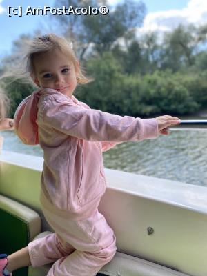 [P14] Copil fericit » foto by Cristiana I
 - 
<span class="allrVoted glyphicon glyphicon-heart hidden" id="av1252220"></span>
<a class="m-l-10 hidden" id="sv1252220" onclick="voting_Foto_DelVot(,1252220,12935)" role="button">șterge vot <span class="glyphicon glyphicon-remove"></span></a>
<a id="v91252220" class=" c-red"  onclick="voting_Foto_SetVot(1252220)" role="button"><span class="glyphicon glyphicon-heart-empty"></span> <b>LIKE</b> = Votează poza</a> <img class="hidden"  id="f1252220W9" src="/imagini/loader.gif" border="0" /><span class="AjErrMes hidden" id="e1252220ErM"></span>