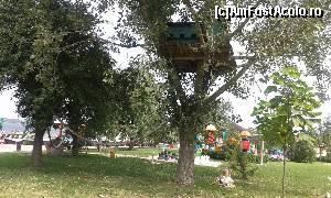 [P19] Casuta din copac :)  » foto by Ilaș Maria
 - 
<span class="allrVoted glyphicon glyphicon-heart hidden" id="av546209"></span>
<a class="m-l-10 hidden" id="sv546209" onclick="voting_Foto_DelVot(,546209,12935)" role="button">șterge vot <span class="glyphicon glyphicon-remove"></span></a>
<a id="v9546209" class=" c-red"  onclick="voting_Foto_SetVot(546209)" role="button"><span class="glyphicon glyphicon-heart-empty"></span> <b>LIKE</b> = Votează poza</a> <img class="hidden"  id="f546209W9" src="/imagini/loader.gif" border="0" /><span class="AjErrMes hidden" id="e546209ErM"></span>