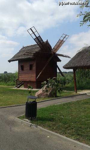 [P21]  -- <small>// FĂRĂ DESCRIERE</small> » foto by Ilaș Maria
 - 
<span class="allrVoted glyphicon glyphicon-heart hidden" id="av546211"></span>
<a class="m-l-10 hidden" id="sv546211" onclick="voting_Foto_DelVot(,546211,12935)" role="button">șterge vot <span class="glyphicon glyphicon-remove"></span></a>
<a id="v9546211" class=" c-red"  onclick="voting_Foto_SetVot(546211)" role="button"><span class="glyphicon glyphicon-heart-empty"></span> <b>LIKE</b> = Votează poza</a> <img class="hidden"  id="f546211W9" src="/imagini/loader.gif" border="0" /><span class="AjErrMes hidden" id="e546211ErM"></span>
