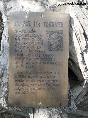 [P11] placuta 'comemorativa' terente » foto by carcotasu
 - 
<span class="allrVoted glyphicon glyphicon-heart hidden" id="av664319"></span>
<a class="m-l-10 hidden" id="sv664319" onclick="voting_Foto_DelVot(,664319,12935)" role="button">șterge vot <span class="glyphicon glyphicon-remove"></span></a>
<a id="v9664319" class=" c-red"  onclick="voting_Foto_SetVot(664319)" role="button"><span class="glyphicon glyphicon-heart-empty"></span> <b>LIKE</b> = Votează poza</a> <img class="hidden"  id="f664319W9" src="/imagini/loader.gif" border="0" /><span class="AjErrMes hidden" id="e664319ErM"></span>