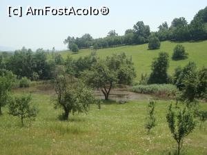 [P51] Aruncăm o privire și către lacul Vovideniei, un loc atât de drag lui Mihail Sadoveanu.  » foto by Floryn81
 - 
<span class="allrVoted glyphicon glyphicon-heart hidden" id="av764061"></span>
<a class="m-l-10 hidden" id="sv764061" onclick="voting_Foto_DelVot(,764061,12941)" role="button">șterge vot <span class="glyphicon glyphicon-remove"></span></a>
<a id="v9764061" class=" c-red"  onclick="voting_Foto_SetVot(764061)" role="button"><span class="glyphicon glyphicon-heart-empty"></span> <b>LIKE</b> = Votează poza</a> <img class="hidden"  id="f764061W9" src="/imagini/loader.gif" border="0" /><span class="AjErrMes hidden" id="e764061ErM"></span>