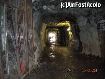 [P41] Tunelul care ne duce mai aproape de ghetar » foto by Alina Morar
 - 
<span class="allrVoted glyphicon glyphicon-heart hidden" id="av270035"></span>
<a class="m-l-10 hidden" id="sv270035" onclick="voting_Foto_DelVot(,270035,12945)" role="button">șterge vot <span class="glyphicon glyphicon-remove"></span></a>
<a id="v9270035" class=" c-red"  onclick="voting_Foto_SetVot(270035)" role="button"><span class="glyphicon glyphicon-heart-empty"></span> <b>LIKE</b> = Votează poza</a> <img class="hidden"  id="f270035W9" src="/imagini/loader.gif" border="0" /><span class="AjErrMes hidden" id="e270035ErM"></span>