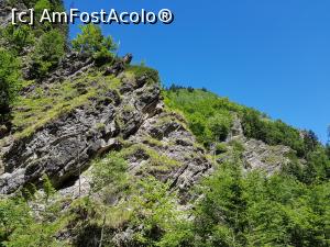 [P34] Sălbăticia și frumusețea Munților Vrancei. » foto by Floryn81
 - 
<span class="allrVoted glyphicon glyphicon-heart hidden" id="av1173864"></span>
<a class="m-l-10 hidden" id="sv1173864" onclick="voting_Foto_DelVot(,1173864,12947)" role="button">șterge vot <span class="glyphicon glyphicon-remove"></span></a>
<a id="v91173864" class=" c-red"  onclick="voting_Foto_SetVot(1173864)" role="button"><span class="glyphicon glyphicon-heart-empty"></span> <b>LIKE</b> = Votează poza</a> <img class="hidden"  id="f1173864W9" src="/imagini/loader.gif" border="0" /><span class="AjErrMes hidden" id="e1173864ErM"></span>
