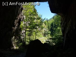 [P35] Sălbăticia și frumusețea Munților Vrancei. » foto by Floryn81
 - 
<span class="allrVoted glyphicon glyphicon-heart hidden" id="av1173865"></span>
<a class="m-l-10 hidden" id="sv1173865" onclick="voting_Foto_DelVot(,1173865,12947)" role="button">șterge vot <span class="glyphicon glyphicon-remove"></span></a>
<a id="v91173865" class=" c-red"  onclick="voting_Foto_SetVot(1173865)" role="button"><span class="glyphicon glyphicon-heart-empty"></span> <b>LIKE</b> = Votează poza</a> <img class="hidden"  id="f1173865W9" src="/imagini/loader.gif" border="0" /><span class="AjErrMes hidden" id="e1173865ErM"></span>