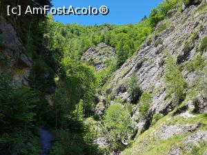 [P36] Sălbăticia și frumusețea Munților Vrancei. » foto by Floryn81
 - 
<span class="allrVoted glyphicon glyphicon-heart hidden" id="av1173866"></span>
<a class="m-l-10 hidden" id="sv1173866" onclick="voting_Foto_DelVot(,1173866,12947)" role="button">șterge vot <span class="glyphicon glyphicon-remove"></span></a>
<a id="v91173866" class=" c-red"  onclick="voting_Foto_SetVot(1173866)" role="button"><span class="glyphicon glyphicon-heart-empty"></span> <b>LIKE</b> = Votează poza</a> <img class="hidden"  id="f1173866W9" src="/imagini/loader.gif" border="0" /><span class="AjErrMes hidden" id="e1173866ErM"></span>