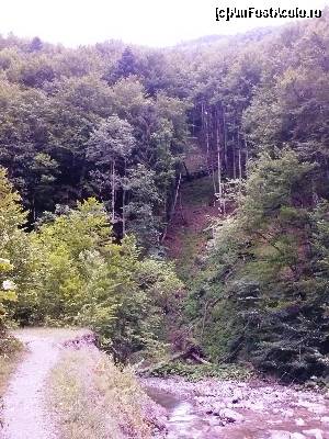 [P06] Ce-a mai rămas din drumul altădată lat şi fără pericole. Aici se vede o zonă (încă) sigură.  » foto by cristina.eu
 - 
<span class="allrVoted glyphicon glyphicon-heart hidden" id="av641055"></span>
<a class="m-l-10 hidden" id="sv641055" onclick="voting_Foto_DelVot(,641055,12947)" role="button">șterge vot <span class="glyphicon glyphicon-remove"></span></a>
<a id="v9641055" class=" c-red"  onclick="voting_Foto_SetVot(641055)" role="button"><span class="glyphicon glyphicon-heart-empty"></span> <b>LIKE</b> = Votează poza</a> <img class="hidden"  id="f641055W9" src="/imagini/loader.gif" border="0" /><span class="AjErrMes hidden" id="e641055ErM"></span>
