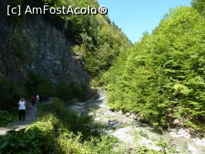 [P36] Rezervatia Tisita 2016-pot fi descrise aceste peisaje?  » foto by mishu
 - 
<span class="allrVoted glyphicon glyphicon-heart hidden" id="av794211"></span>
<a class="m-l-10 hidden" id="sv794211" onclick="voting_Foto_DelVot(,794211,12947)" role="button">șterge vot <span class="glyphicon glyphicon-remove"></span></a>
<a id="v9794211" class=" c-red"  onclick="voting_Foto_SetVot(794211)" role="button"><span class="glyphicon glyphicon-heart-empty"></span> <b>LIKE</b> = Votează poza</a> <img class="hidden"  id="f794211W9" src="/imagini/loader.gif" border="0" /><span class="AjErrMes hidden" id="e794211ErM"></span>