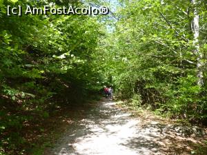 [P40] Rezervatia Tisita 2016-la pas prin padure » foto by mishu
 - 
<span class="allrVoted glyphicon glyphicon-heart hidden" id="av794216"></span>
<a class="m-l-10 hidden" id="sv794216" onclick="voting_Foto_DelVot(,794216,12947)" role="button">șterge vot <span class="glyphicon glyphicon-remove"></span></a>
<a id="v9794216" class=" c-red"  onclick="voting_Foto_SetVot(794216)" role="button"><span class="glyphicon glyphicon-heart-empty"></span> <b>LIKE</b> = Votează poza</a> <img class="hidden"  id="f794216W9" src="/imagini/loader.gif" border="0" /><span class="AjErrMes hidden" id="e794216ErM"></span>