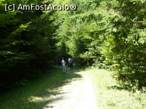 [P42] Rezervatia Tisita 2016-mai avem putin si ne contopim cu natura » foto by mishu
 - 
<span class="allrVoted glyphicon glyphicon-heart hidden" id="av794219"></span>
<a class="m-l-10 hidden" id="sv794219" onclick="voting_Foto_DelVot(,794219,12947)" role="button">șterge vot <span class="glyphicon glyphicon-remove"></span></a>
<a id="v9794219" class=" c-red"  onclick="voting_Foto_SetVot(794219)" role="button"><span class="glyphicon glyphicon-heart-empty"></span> <b>LIKE</b> = Votează poza</a> <img class="hidden"  id="f794219W9" src="/imagini/loader.gif" border="0" /><span class="AjErrMes hidden" id="e794219ErM"></span>