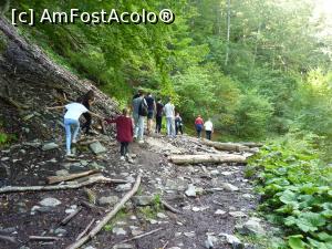 [P47] Rezervatia Tisita 2016-doar nu credeati ca ati iesit la plimbare la sosea?  » foto by mishu
 - 
<span class="allrVoted glyphicon glyphicon-heart hidden" id="av794225"></span>
<a class="m-l-10 hidden" id="sv794225" onclick="voting_Foto_DelVot(,794225,12947)" role="button">șterge vot <span class="glyphicon glyphicon-remove"></span></a>
<a id="v9794225" class=" c-red"  onclick="voting_Foto_SetVot(794225)" role="button"><span class="glyphicon glyphicon-heart-empty"></span> <b>LIKE</b> = Votează poza</a> <img class="hidden"  id="f794225W9" src="/imagini/loader.gif" border="0" /><span class="AjErrMes hidden" id="e794225ErM"></span>