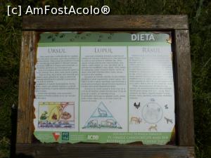 [P50] Rezervatia Tisita 2016-si dieta pe scurt pentru oaspeti de seama » foto by mishu
 - 
<span class="allrVoted glyphicon glyphicon-heart hidden" id="av794229"></span>
<a class="m-l-10 hidden" id="sv794229" onclick="voting_Foto_DelVot(,794229,12947)" role="button">șterge vot <span class="glyphicon glyphicon-remove"></span></a>
<a id="v9794229" class=" c-red"  onclick="voting_Foto_SetVot(794229)" role="button"><span class="glyphicon glyphicon-heart-empty"></span> <b>LIKE</b> = Votează poza</a> <img class="hidden"  id="f794229W9" src="/imagini/loader.gif" border="0" /><span class="AjErrMes hidden" id="e794229ErM"></span>