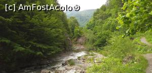 [P07] Raul Tisita. » foto by VasiuM
 - 
<span class="allrVoted glyphicon glyphicon-heart hidden" id="av1167220"></span>
<a class="m-l-10 hidden" id="sv1167220" onclick="voting_Foto_DelVot(,1167220,12947)" role="button">șterge vot <span class="glyphicon glyphicon-remove"></span></a>
<a id="v91167220" class=" c-red"  onclick="voting_Foto_SetVot(1167220)" role="button"><span class="glyphicon glyphicon-heart-empty"></span> <b>LIKE</b> = Votează poza</a> <img class="hidden"  id="f1167220W9" src="/imagini/loader.gif" border="0" /><span class="AjErrMes hidden" id="e1167220ErM"></span>
