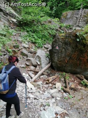 [P09] Traseu spre primul obstacol. » foto by VasiuM
 - 
<span class="allrVoted glyphicon glyphicon-heart hidden" id="av1167222"></span>
<a class="m-l-10 hidden" id="sv1167222" onclick="voting_Foto_DelVot(,1167222,12947)" role="button">șterge vot <span class="glyphicon glyphicon-remove"></span></a>
<a id="v91167222" class=" c-red"  onclick="voting_Foto_SetVot(1167222)" role="button"><span class="glyphicon glyphicon-heart-empty"></span> <b>LIKE</b> = Votează poza</a> <img class="hidden"  id="f1167222W9" src="/imagini/loader.gif" border="0" /><span class="AjErrMes hidden" id="e1167222ErM"></span>