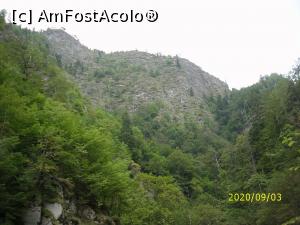 [P10] Natura ... » foto by puiutea <span class="label label-default labelC_thin small">NEVOTABILĂ</span>