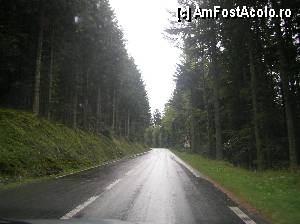 [P35] Drumul prin munţii Vosgi, înconjuraţi de păduri dense de brazi.  » foto by doina_c24
 - 
<span class="allrVoted glyphicon glyphicon-heart hidden" id="av388742"></span>
<a class="m-l-10 hidden" id="sv388742" onclick="voting_Foto_DelVot(,388742,12948)" role="button">șterge vot <span class="glyphicon glyphicon-remove"></span></a>
<a id="v9388742" class=" c-red"  onclick="voting_Foto_SetVot(388742)" role="button"><span class="glyphicon glyphicon-heart-empty"></span> <b>LIKE</b> = Votează poza</a> <img class="hidden"  id="f388742W9" src="/imagini/loader.gif" border="0" /><span class="AjErrMes hidden" id="e388742ErM"></span>