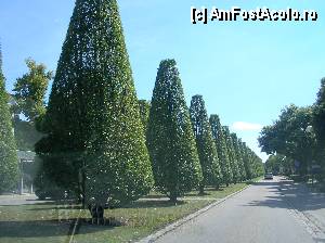 [P04] Prin Germania, pierdut autostradă.  » foto by doina_c24
 - 
<span class="allrVoted glyphicon glyphicon-heart hidden" id="av388693"></span>
<a class="m-l-10 hidden" id="sv388693" onclick="voting_Foto_DelVot(,388693,12948)" role="button">șterge vot <span class="glyphicon glyphicon-remove"></span></a>
<a id="v9388693" class=" c-red"  onclick="voting_Foto_SetVot(388693)" role="button"><span class="glyphicon glyphicon-heart-empty"></span> <b>LIKE</b> = Votează poza</a> <img class="hidden"  id="f388693W9" src="/imagini/loader.gif" border="0" /><span class="AjErrMes hidden" id="e388693ErM"></span>