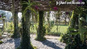 [P37] Un colt de gradina de la Castelul Cheverny.  » foto by ania
 - 
<span class="allrVoted glyphicon glyphicon-heart hidden" id="av652242"></span>
<a class="m-l-10 hidden" id="sv652242" onclick="voting_Foto_DelVot(,652242,12948)" role="button">șterge vot <span class="glyphicon glyphicon-remove"></span></a>
<a id="v9652242" class=" c-red"  onclick="voting_Foto_SetVot(652242)" role="button"><span class="glyphicon glyphicon-heart-empty"></span> <b>LIKE</b> = Votează poza</a> <img class="hidden"  id="f652242W9" src="/imagini/loader.gif" border="0" /><span class="AjErrMes hidden" id="e652242ErM"></span>