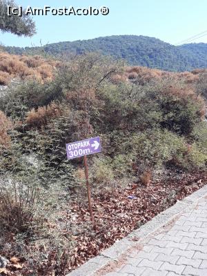 [P13] Kunos spre parcare » foto by adrianbogdan
 - 
<span class="allrVoted glyphicon glyphicon-heart hidden" id="av1197849"></span>
<a class="m-l-10 hidden" id="sv1197849" onclick="voting_Foto_DelVot(,1197849,12951)" role="button">șterge vot <span class="glyphicon glyphicon-remove"></span></a>
<a id="v91197849" class=" c-red"  onclick="voting_Foto_SetVot(1197849)" role="button"><span class="glyphicon glyphicon-heart-empty"></span> <b>LIKE</b> = Votează poza</a> <img class="hidden"  id="f1197849W9" src="/imagini/loader.gif" border="0" /><span class="AjErrMes hidden" id="e1197849ErM"></span>