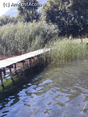 [P15] pontonul  trecand prin zona de stuf » foto by adrianbogdan
 - 
<span class="allrVoted glyphicon glyphicon-heart hidden" id="av1197851"></span>
<a class="m-l-10 hidden" id="sv1197851" onclick="voting_Foto_DelVot(,1197851,12951)" role="button">șterge vot <span class="glyphicon glyphicon-remove"></span></a>
<a id="v91197851" class=" c-red"  onclick="voting_Foto_SetVot(1197851)" role="button"><span class="glyphicon glyphicon-heart-empty"></span> <b>LIKE</b> = Votează poza</a> <img class="hidden"  id="f1197851W9" src="/imagini/loader.gif" border="0" /><span class="AjErrMes hidden" id="e1197851ErM"></span>