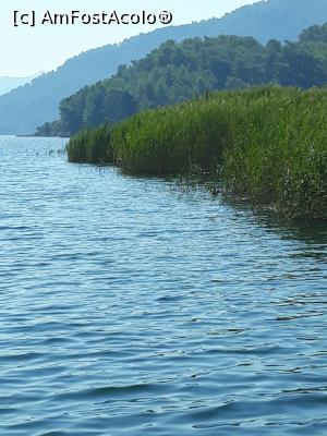 [P17] Lacul Köyceğiz » foto by adrianbogdan
 - 
<span class="allrVoted glyphicon glyphicon-heart hidden" id="av1197853"></span>
<a class="m-l-10 hidden" id="sv1197853" onclick="voting_Foto_DelVot(,1197853,12951)" role="button">șterge vot <span class="glyphicon glyphicon-remove"></span></a>
<a id="v91197853" class=" c-red"  onclick="voting_Foto_SetVot(1197853)" role="button"><span class="glyphicon glyphicon-heart-empty"></span> <b>LIKE</b> = Votează poza</a> <img class="hidden"  id="f1197853W9" src="/imagini/loader.gif" border="0" /><span class="AjErrMes hidden" id="e1197853ErM"></span>