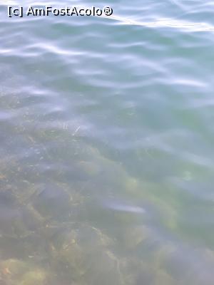 [P19] Lacul Köyceğiz » foto by adrianbogdan
 - 
<span class="allrVoted glyphicon glyphicon-heart hidden" id="av1197855"></span>
<a class="m-l-10 hidden" id="sv1197855" onclick="voting_Foto_DelVot(,1197855,12951)" role="button">șterge vot <span class="glyphicon glyphicon-remove"></span></a>
<a id="v91197855" class=" c-red"  onclick="voting_Foto_SetVot(1197855)" role="button"><span class="glyphicon glyphicon-heart-empty"></span> <b>LIKE</b> = Votează poza</a> <img class="hidden"  id="f1197855W9" src="/imagini/loader.gif" border="0" /><span class="AjErrMes hidden" id="e1197855ErM"></span>