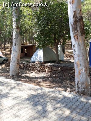 [P23] prin camping » foto by adrianbogdan
 - 
<span class="allrVoted glyphicon glyphicon-heart hidden" id="av1197859"></span>
<a class="m-l-10 hidden" id="sv1197859" onclick="voting_Foto_DelVot(,1197859,12951)" role="button">șterge vot <span class="glyphicon glyphicon-remove"></span></a>
<a id="v91197859" class=" c-red"  onclick="voting_Foto_SetVot(1197859)" role="button"><span class="glyphicon glyphicon-heart-empty"></span> <b>LIKE</b> = Votează poza</a> <img class="hidden"  id="f1197859W9" src="/imagini/loader.gif" border="0" /><span class="AjErrMes hidden" id="e1197859ErM"></span>