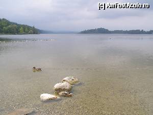 [P13] Murnau am Staffelsee - pe malul lacului Staffelsee » foto by RoF*
 - 
<span class="allrVoted glyphicon glyphicon-heart hidden" id="av375736"></span>
<a class="m-l-10 hidden" id="sv375736" onclick="voting_Foto_DelVot(,375736,12959)" role="button">șterge vot <span class="glyphicon glyphicon-remove"></span></a>
<a id="v9375736" class=" c-red"  onclick="voting_Foto_SetVot(375736)" role="button"><span class="glyphicon glyphicon-heart-empty"></span> <b>LIKE</b> = Votează poza</a> <img class="hidden"  id="f375736W9" src="/imagini/loader.gif" border="0" /><span class="AjErrMes hidden" id="e375736ErM"></span>