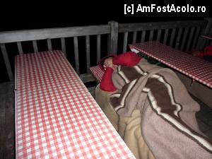 [P07] Cineva imi face o 'surpriza' in timp ce dorm pe terasa » foto by RoF*
 - 
<span class="allrVoted glyphicon glyphicon-heart hidden" id="av376036"></span>
<a class="m-l-10 hidden" id="sv376036" onclick="voting_Foto_DelVot(,376036,12973)" role="button">șterge vot <span class="glyphicon glyphicon-remove"></span></a>
<a id="v9376036" class=" c-red"  onclick="voting_Foto_SetVot(376036)" role="button"><span class="glyphicon glyphicon-heart-empty"></span> <b>LIKE</b> = Votează poza</a> <img class="hidden"  id="f376036W9" src="/imagini/loader.gif" border="0" /><span class="AjErrMes hidden" id="e376036ErM"></span>