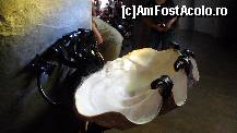 [P14] una dintre cele doua scoici filipine pentru apa sfintita
superbe realizari » foto by amero
 - 
<span class="allrVoted glyphicon glyphicon-heart hidden" id="av377529"></span>
<a class="m-l-10 hidden" id="sv377529" onclick="voting_Foto_DelVot(,377529,13004)" role="button">șterge vot <span class="glyphicon glyphicon-remove"></span></a>
<a id="v9377529" class=" c-red"  onclick="voting_Foto_SetVot(377529)" role="button"><span class="glyphicon glyphicon-heart-empty"></span> <b>LIKE</b> = Votează poza</a> <img class="hidden"  id="f377529W9" src="/imagini/loader.gif" border="0" /><span class="AjErrMes hidden" id="e377529ErM"></span>