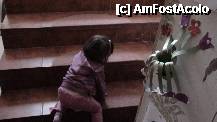 [P19] alt ingeras » foto by roth
 - 
<span class="allrVoted glyphicon glyphicon-heart hidden" id="av196827"></span>
<a class="m-l-10 hidden" id="sv196827" onclick="voting_Foto_DelVot(,196827,13023)" role="button">șterge vot <span class="glyphicon glyphicon-remove"></span></a>
<a id="v9196827" class=" c-red"  onclick="voting_Foto_SetVot(196827)" role="button"><span class="glyphicon glyphicon-heart-empty"></span> <b>LIKE</b> = Votează poza</a> <img class="hidden"  id="f196827W9" src="/imagini/loader.gif" border="0" /><span class="AjErrMes hidden" id="e196827ErM"></span>