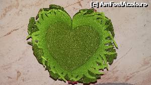 [P01] cadoul primit...  » foto by michaella
 - 
<span class="allrVoted glyphicon glyphicon-heart hidden" id="av609055"></span>
<a class="m-l-10 hidden" id="sv609055" onclick="voting_Foto_DelVot(,609055,13023)" role="button">șterge vot <span class="glyphicon glyphicon-remove"></span></a>
<a id="v9609055" class=" c-red"  onclick="voting_Foto_SetVot(609055)" role="button"><span class="glyphicon glyphicon-heart-empty"></span> <b>LIKE</b> = Votează poza</a> <img class="hidden"  id="f609055W9" src="/imagini/loader.gif" border="0" /><span class="AjErrMes hidden" id="e609055ErM"></span>