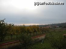 [P04]  -- <small>// FĂRĂ DESCRIERE</small> » foto by bogvoicu
 - 
<span class="allrVoted glyphicon glyphicon-heart hidden" id="av383325"></span>
<a class="m-l-10 hidden" id="sv383325" onclick="voting_Foto_DelVot(,383325,13034)" role="button">șterge vot <span class="glyphicon glyphicon-remove"></span></a>
<a id="v9383325" class=" c-red"  onclick="voting_Foto_SetVot(383325)" role="button"><span class="glyphicon glyphicon-heart-empty"></span> <b>LIKE</b> = Votează poza</a> <img class="hidden"  id="f383325W9" src="/imagini/loader.gif" border="0" /><span class="AjErrMes hidden" id="e383325ErM"></span>