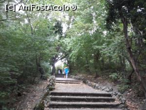 [P10] Prin pădure spre Mănăstirea Aladzha (Aladja) - la 3 km de Nisipurile de Aur.  » foto by Aurici
 - 
<span class="allrVoted glyphicon glyphicon-heart hidden" id="av945845"></span>
<a class="m-l-10 hidden" id="sv945845" onclick="voting_Foto_DelVot(,945845,13043)" role="button">șterge vot <span class="glyphicon glyphicon-remove"></span></a>
<a id="v9945845" class=" c-red"  onclick="voting_Foto_SetVot(945845)" role="button"><span class="glyphicon glyphicon-heart-empty"></span> <b>LIKE</b> = Votează poza</a> <img class="hidden"  id="f945845W9" src="/imagini/loader.gif" border="0" /><span class="AjErrMes hidden" id="e945845ErM"></span>