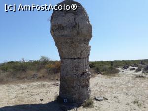 [P03] Pobiti Kamani (Pădurea de piatră) - printre primele formațiuni.  » foto by Aurici
 - 
<span class="allrVoted glyphicon glyphicon-heart hidden" id="av945821"></span>
<a class="m-l-10 hidden" id="sv945821" onclick="voting_Foto_DelVot(,945821,13043)" role="button">șterge vot <span class="glyphicon glyphicon-remove"></span></a>
<a id="v9945821" class=" c-red"  onclick="voting_Foto_SetVot(945821)" role="button"><span class="glyphicon glyphicon-heart-empty"></span> <b>LIKE</b> = Votează poza</a> <img class="hidden"  id="f945821W9" src="/imagini/loader.gif" border="0" /><span class="AjErrMes hidden" id="e945821ErM"></span>