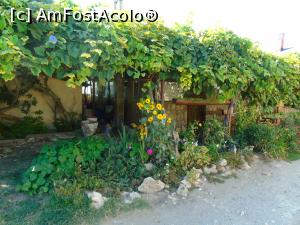 [P39] Casă veche din Shabla.  » foto by Aurici
 - 
<span class="allrVoted glyphicon glyphicon-heart hidden" id="av945881"></span>
<a class="m-l-10 hidden" id="sv945881" onclick="voting_Foto_DelVot(,945881,13043)" role="button">șterge vot <span class="glyphicon glyphicon-remove"></span></a>
<a id="v9945881" class=" c-red"  onclick="voting_Foto_SetVot(945881)" role="button"><span class="glyphicon glyphicon-heart-empty"></span> <b>LIKE</b> = Votează poza</a> <img class="hidden"  id="f945881W9" src="/imagini/loader.gif" border="0" /><span class="AjErrMes hidden" id="e945881ErM"></span>