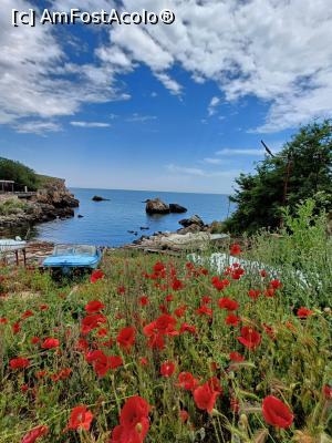 [P06] Golful Tyulenevo. » foto by tata123 🔱
 - 
<span class="allrVoted glyphicon glyphicon-heart hidden" id="av1370829"></span>
<a class="m-l-10 hidden" id="sv1370829" onclick="voting_Foto_DelVot(,1370829,13043)" role="button">șterge vot <span class="glyphicon glyphicon-remove"></span></a>
<a id="v91370829" class=" c-red"  onclick="voting_Foto_SetVot(1370829)" role="button"><span class="glyphicon glyphicon-heart-empty"></span> <b>LIKE</b> = Votează poza</a> <img class="hidden"  id="f1370829W9" src="/imagini/loader.gif" border="0" /><span class="AjErrMes hidden" id="e1370829ErM"></span>