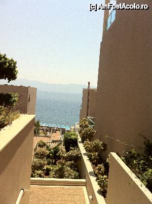 [P08]  -- <small>// FĂRĂ DESCRIERE</small> » foto by Ana09
 - 
<span class="allrVoted glyphicon glyphicon-heart hidden" id="av513212"></span>
<a class="m-l-10 hidden" id="sv513212" onclick="voting_Foto_DelVot(,513212,13054)" role="button">șterge vot <span class="glyphicon glyphicon-remove"></span></a>
<a id="v9513212" class=" c-red"  onclick="voting_Foto_SetVot(513212)" role="button"><span class="glyphicon glyphicon-heart-empty"></span> <b>LIKE</b> = Votează poza</a> <img class="hidden"  id="f513212W9" src="/imagini/loader.gif" border="0" /><span class="AjErrMes hidden" id="e513212ErM"></span>