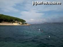 [P15] imagine de pe una din plajele Palau. Dupa vegetatie, plaja pentru nudisti » foto by Swan1
 - 
<span class="allrVoted glyphicon glyphicon-heart hidden" id="av380629"></span>
<a class="m-l-10 hidden" id="sv380629" onclick="voting_Foto_DelVot(,380629,13072)" role="button">șterge vot <span class="glyphicon glyphicon-remove"></span></a>
<a id="v9380629" class=" c-red"  onclick="voting_Foto_SetVot(380629)" role="button"><span class="glyphicon glyphicon-heart-empty"></span> <b>LIKE</b> = Votează poza</a> <img class="hidden"  id="f380629W9" src="/imagini/loader.gif" border="0" /><span class="AjErrMes hidden" id="e380629ErM"></span>