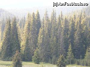 [P23] Pensiunea Bellami, imprejurimile mirifice » foto by sunflower
 - 
<span class="allrVoted glyphicon glyphicon-heart hidden" id="av449224"></span>
<a class="m-l-10 hidden" id="sv449224" onclick="voting_Foto_DelVot(,449224,13078)" role="button">șterge vot <span class="glyphicon glyphicon-remove"></span></a>
<a id="v9449224" class=" c-red"  onclick="voting_Foto_SetVot(449224)" role="button"><span class="glyphicon glyphicon-heart-empty"></span> <b>LIKE</b> = Votează poza</a> <img class="hidden"  id="f449224W9" src="/imagini/loader.gif" border="0" /><span class="AjErrMes hidden" id="e449224ErM"></span>
