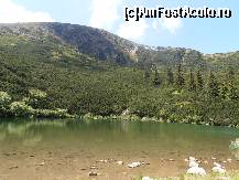 [P24] Lacul Sureanu cu al sau verde incredibil...  » foto by sunflower
 - 
<span class="allrVoted glyphicon glyphicon-heart hidden" id="av449316"></span>
<a class="m-l-10 hidden" id="sv449316" onclick="voting_Foto_DelVot(,449316,13091)" role="button">șterge vot <span class="glyphicon glyphicon-remove"></span></a>
<a id="v9449316" class=" c-red"  onclick="voting_Foto_SetVot(449316)" role="button"><span class="glyphicon glyphicon-heart-empty"></span> <b>LIKE</b> = Votează poza</a> <img class="hidden"  id="f449316W9" src="/imagini/loader.gif" border="0" /><span class="AjErrMes hidden" id="e449316ErM"></span>