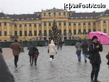 [P01] Schonbrunn » foto by tina 25*
 - 
<span class="allrVoted glyphicon glyphicon-heart hidden" id="av171356"></span>
<a class="m-l-10 hidden" id="sv171356" onclick="voting_Foto_DelVot(,171356,13117)" role="button">șterge vot <span class="glyphicon glyphicon-remove"></span></a>
<a id="v9171356" class=" c-red"  onclick="voting_Foto_SetVot(171356)" role="button"><span class="glyphicon glyphicon-heart-empty"></span> <b>LIKE</b> = Votează poza</a> <img class="hidden"  id="f171356W9" src="/imagini/loader.gif" border="0" /><span class="AjErrMes hidden" id="e171356ErM"></span>