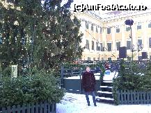[P18] Viena - piata de Craciun - langa bradul de la Schonbrunn » foto by kmy
 - 
<span class="allrVoted glyphicon glyphicon-heart hidden" id="av172540"></span>
<a class="m-l-10 hidden" id="sv172540" onclick="voting_Foto_DelVot(,172540,13117)" role="button">șterge vot <span class="glyphicon glyphicon-remove"></span></a>
<a id="v9172540" class=" c-red"  onclick="voting_Foto_SetVot(172540)" role="button"><span class="glyphicon glyphicon-heart-empty"></span> <b>LIKE</b> = Votează poza</a> <img class="hidden"  id="f172540W9" src="/imagini/loader.gif" border="0" /><span class="AjErrMes hidden" id="e172540ErM"></span>