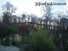 [P08] Sus, printre copaci, pasarela de la Grădina Zoologică Schönbrunn » foto by abancor
 - 
<span class="allrVoted glyphicon glyphicon-heart hidden" id="av408586"></span>
<a class="m-l-10 hidden" id="sv408586" onclick="voting_Foto_DelVot(,408586,13117)" role="button">șterge vot <span class="glyphicon glyphicon-remove"></span></a>
<a id="v9408586" class=" c-red"  onclick="voting_Foto_SetVot(408586)" role="button"><span class="glyphicon glyphicon-heart-empty"></span> <b>LIKE</b> = Votează poza</a> <img class="hidden"  id="f408586W9" src="/imagini/loader.gif" border="0" /><span class="AjErrMes hidden" id="e408586ErM"></span>