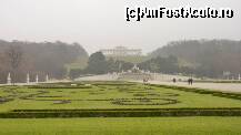 [P07] Gradina Palatului Schonbrunn este imensa si cu siguranta si mai frumoasa cand este inverzita. Tot aici gasiti si Zoo si o mini-gradina botanica » foto by brugner
 - 
<span class="allrVoted glyphicon glyphicon-heart hidden" id="av293909"></span>
<a class="m-l-10 hidden" id="sv293909" onclick="voting_Foto_DelVot(,293909,13117)" role="button">șterge vot <span class="glyphicon glyphicon-remove"></span></a>
<a id="v9293909" class=" c-red"  onclick="voting_Foto_SetVot(293909)" role="button"><span class="glyphicon glyphicon-heart-empty"></span> <b>LIKE</b> = Votează poza</a> <img class="hidden"  id="f293909W9" src="/imagini/loader.gif" border="0" /><span class="AjErrMes hidden" id="e293909ErM"></span>