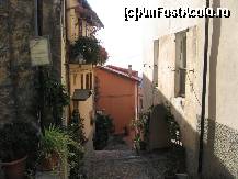 [P19] Strada in Castellaro » foto by Michi
 - 
<span class="allrVoted glyphicon glyphicon-heart hidden" id="av381994"></span>
<a class="m-l-10 hidden" id="sv381994" onclick="voting_Foto_DelVot(,381994,13123)" role="button">șterge vot <span class="glyphicon glyphicon-remove"></span></a>
<a id="v9381994" class=" c-red"  onclick="voting_Foto_SetVot(381994)" role="button"><span class="glyphicon glyphicon-heart-empty"></span> <b>LIKE</b> = Votează poza</a> <img class="hidden"  id="f381994W9" src="/imagini/loader.gif" border="0" /><span class="AjErrMes hidden" id="e381994ErM"></span>
