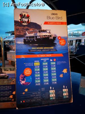[P19] Excursii pe mare » foto by crismis
 - 
<span class="allrVoted glyphicon glyphicon-heart hidden" id="av1286638"></span>
<a class="m-l-10 hidden" id="sv1286638" onclick="voting_Foto_DelVot(,1286638,13127)" role="button">șterge vot <span class="glyphicon glyphicon-remove"></span></a>
<a id="v91286638" class=" c-red"  onclick="voting_Foto_SetVot(1286638)" role="button"><span class="glyphicon glyphicon-heart-empty"></span> <b>LIKE</b> = Votează poza</a> <img class="hidden"  id="f1286638W9" src="/imagini/loader.gif" border="0" /><span class="AjErrMes hidden" id="e1286638ErM"></span>