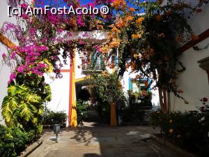 [P21] Puerto de Mogan » foto by crismis
 - 
<span class="allrVoted glyphicon glyphicon-heart hidden" id="av1287246"></span>
<a class="m-l-10 hidden" id="sv1287246" onclick="voting_Foto_DelVot(,1287246,13127)" role="button">șterge vot <span class="glyphicon glyphicon-remove"></span></a>
<a id="v91287246" class=" c-red"  onclick="voting_Foto_SetVot(1287246)" role="button"><span class="glyphicon glyphicon-heart-empty"></span> <b>LIKE</b> = Votează poza</a> <img class="hidden"  id="f1287246W9" src="/imagini/loader.gif" border="0" /><span class="AjErrMes hidden" id="e1287246ErM"></span>